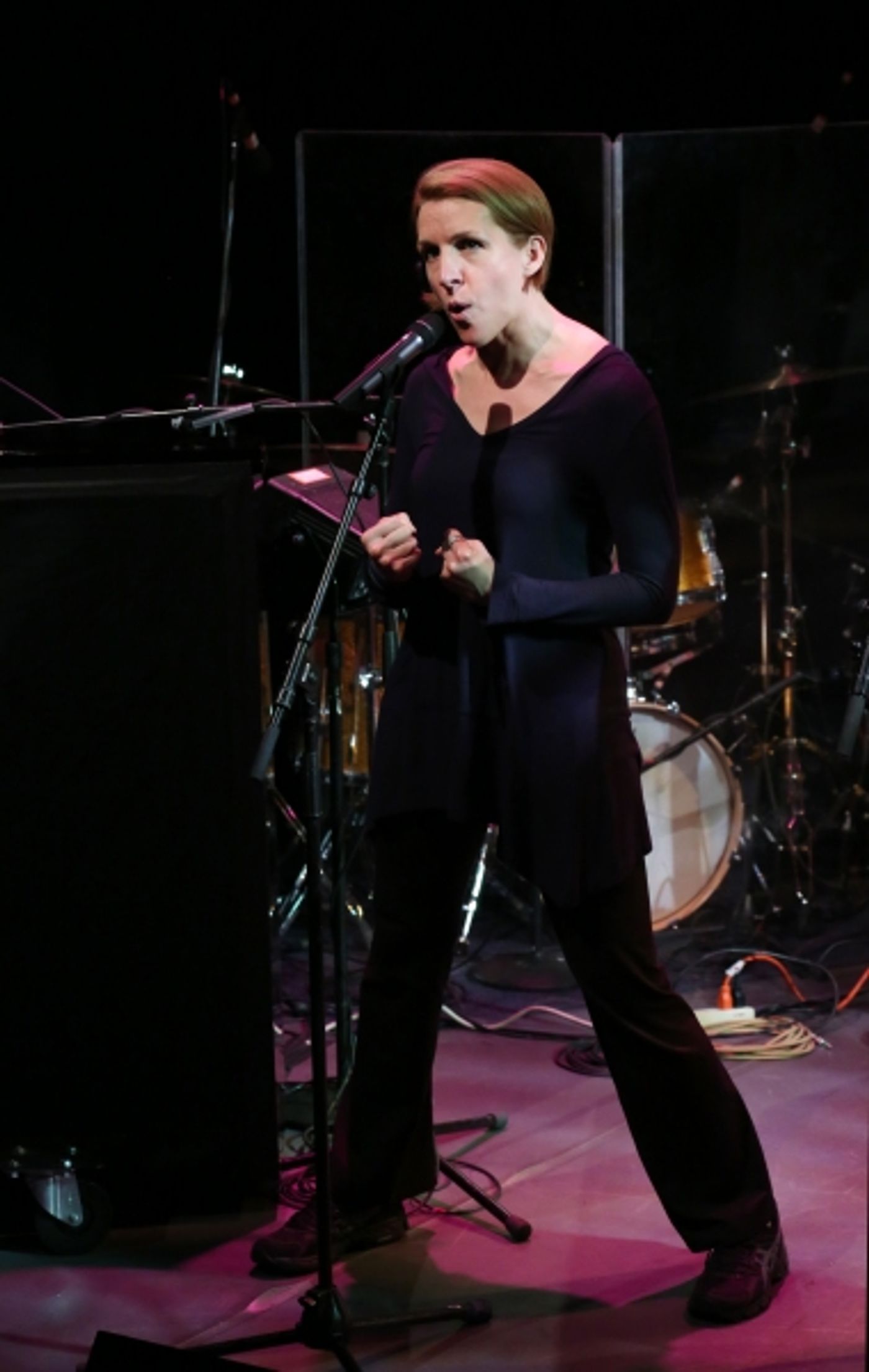 Photo Coverage: The 2013 New York Musical Theatre Festival Gives Performance Preview!  Image