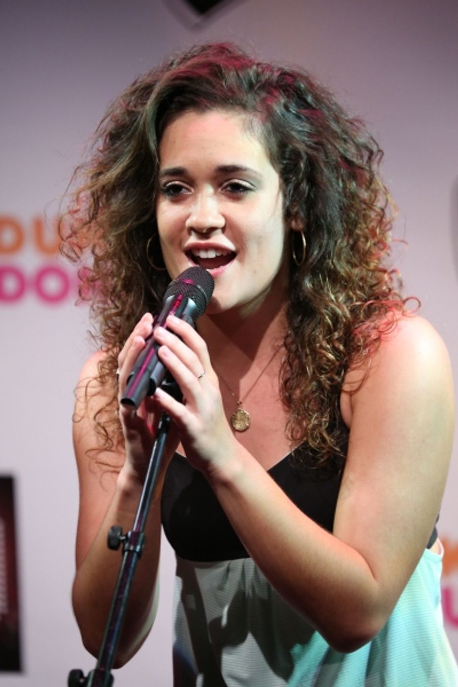 Photo Coverage: The 2013 New York Musical Theatre Festival Gives Performance Preview! Image