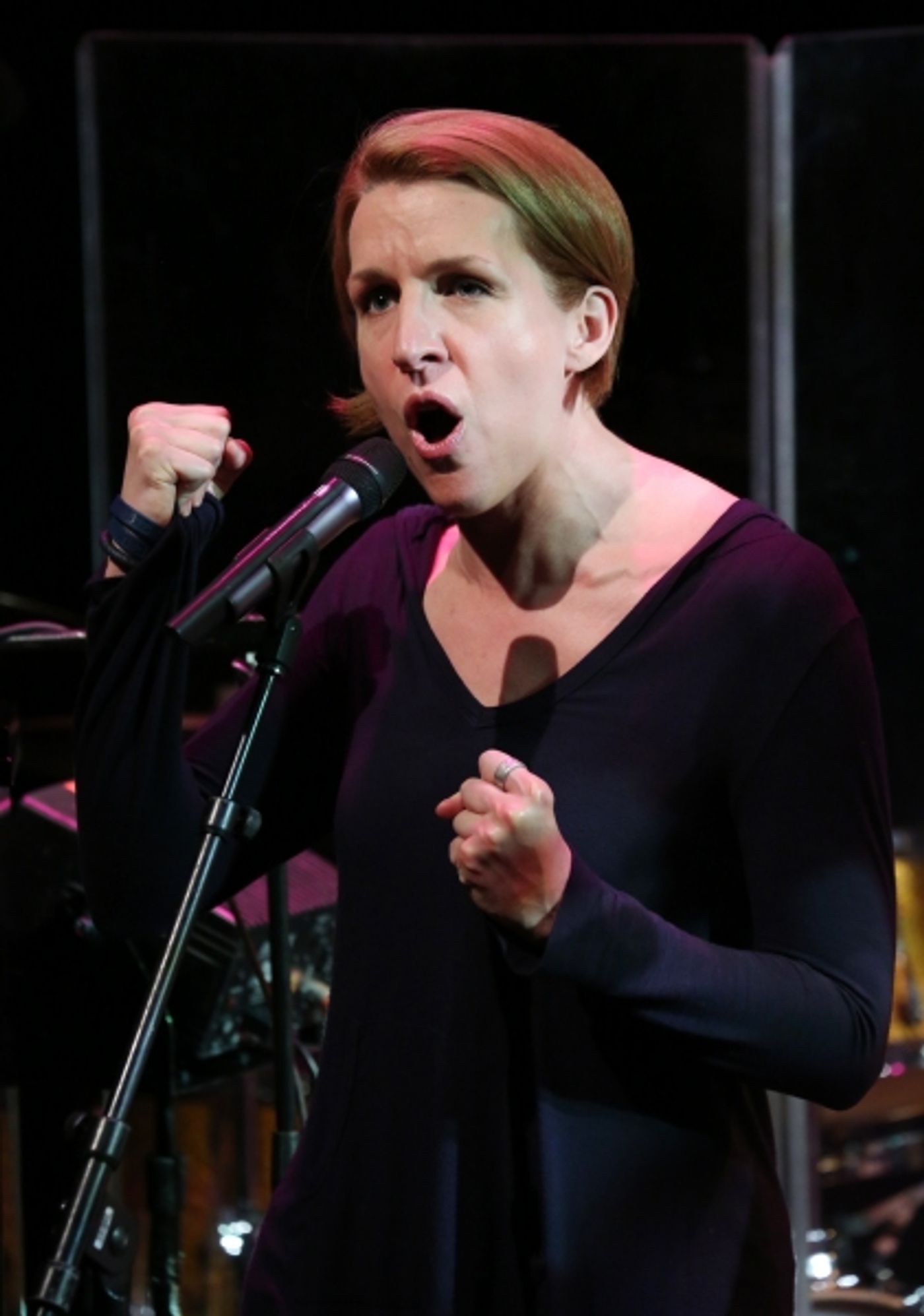 Photo Coverage: The 2013 New York Musical Theatre Festival Gives Performance Preview!  Image