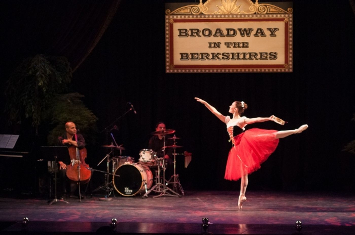 Photo Flash: Tonya Pinkins and More at Shakespeare & Company's BROADWAY IN THE BERKSHIRES Gala  Image