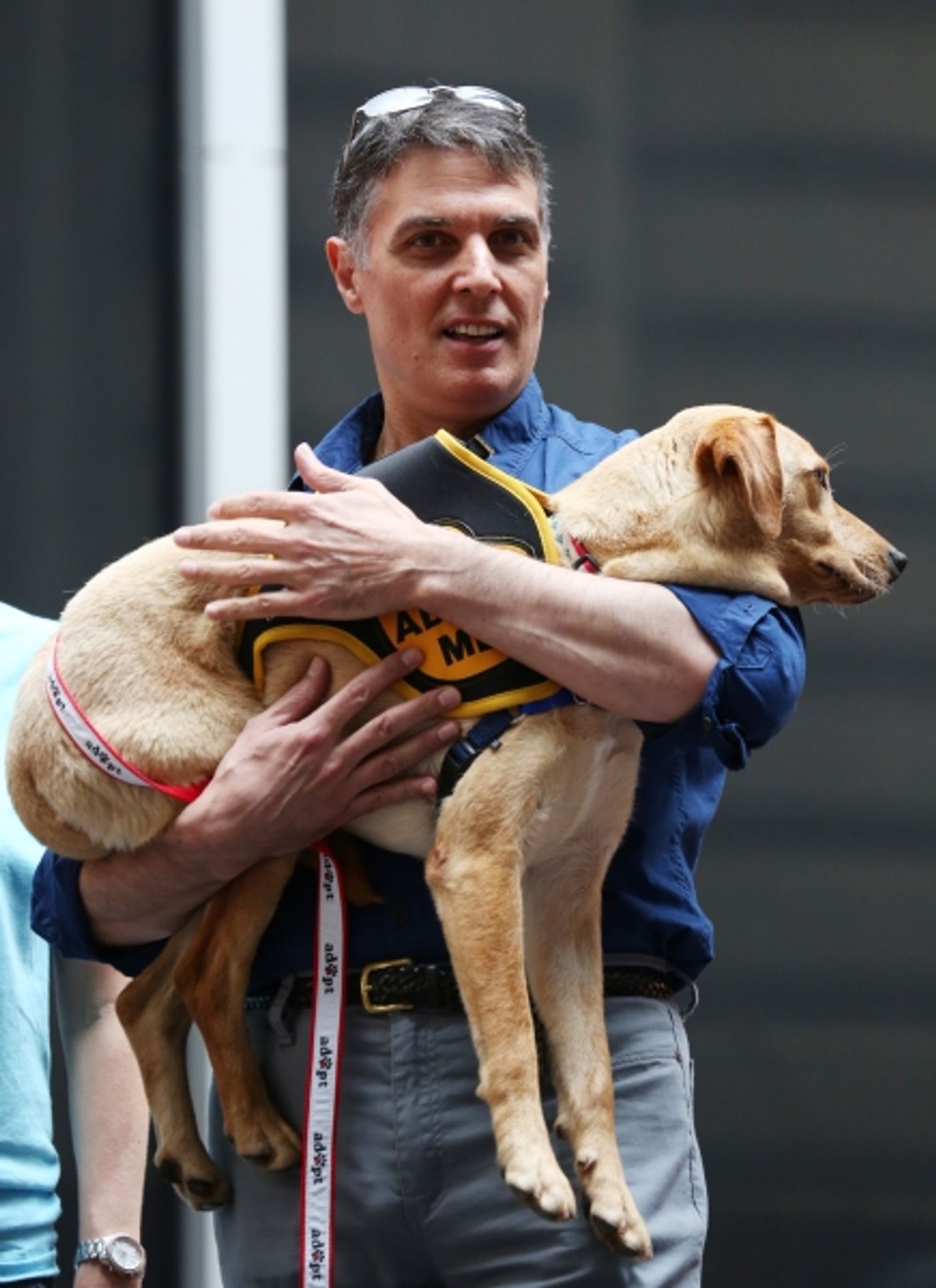 Photo Coverage: Inside the Adoption Presentation at BROADWAY BARKS 15! Image