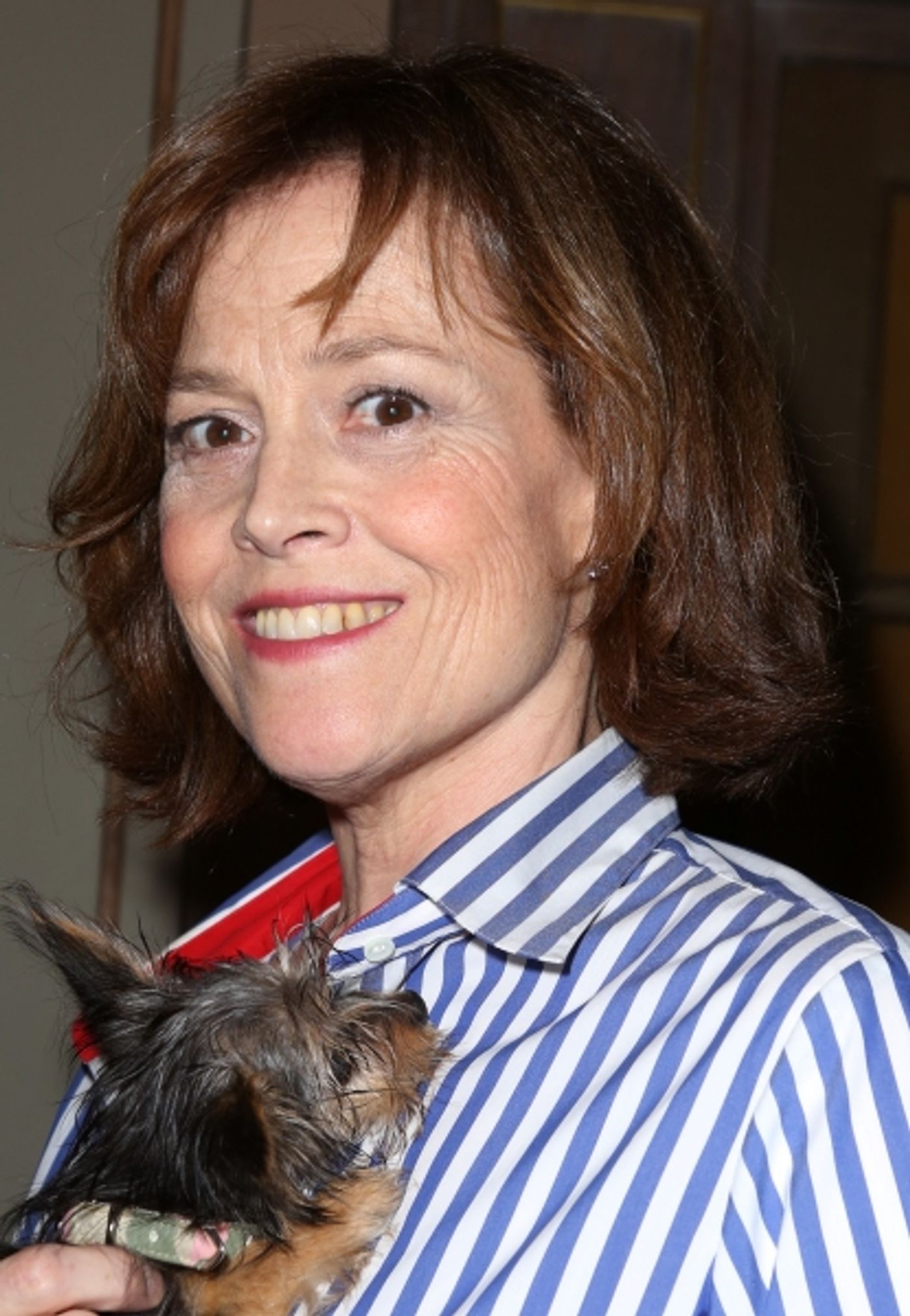 Photo Coverage: Broadway Shows Some Puppy Love! Backstage at BROADWAY BARKS 15 - Part One Image