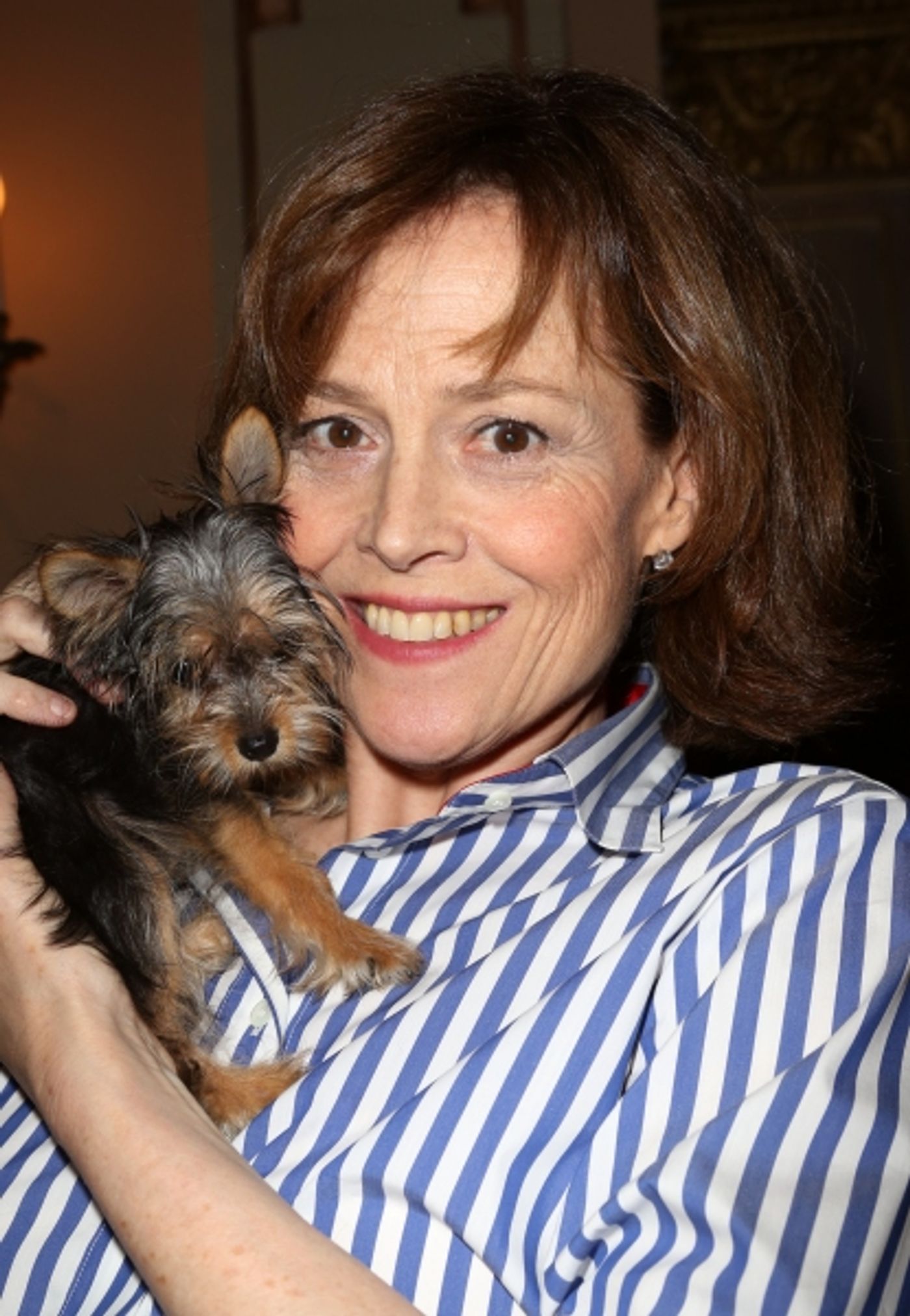 Photo Coverage: Broadway Shows Some Puppy Love! Backstage at BROADWAY BARKS 15 - Part One Image