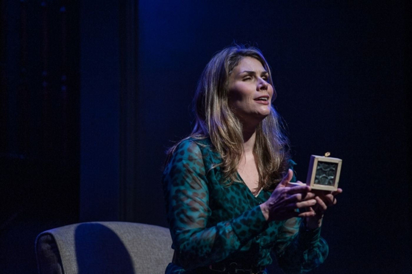 Photo Flash: Heidi Blickenstaff, Aaron Ramey, David Ayers and More in NEXT TO NORMAL - Full Production Shots!  Image