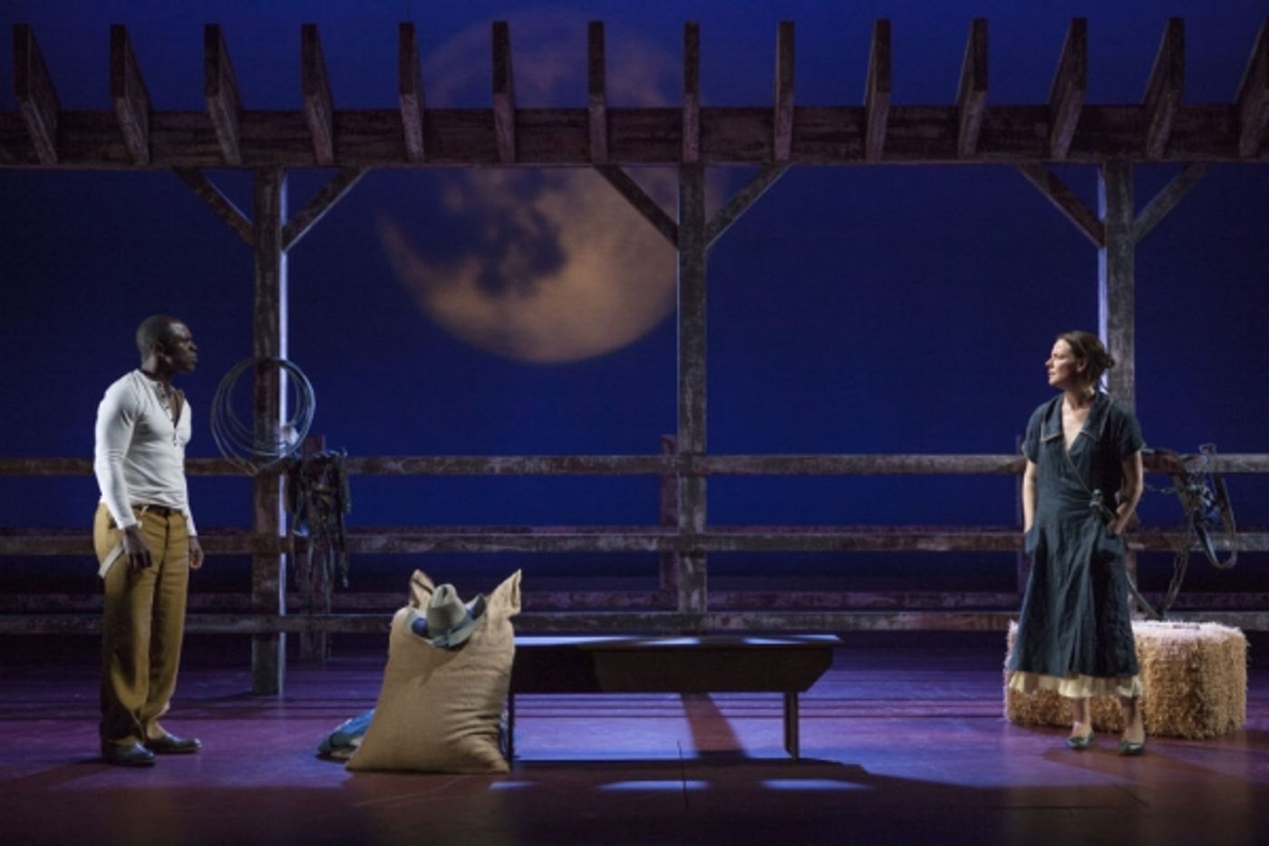 Photo Flash: First Look at Danielle Skraastad, Gbenga Akinnagbe and More in Old Globe's THE RAINMAKER Image