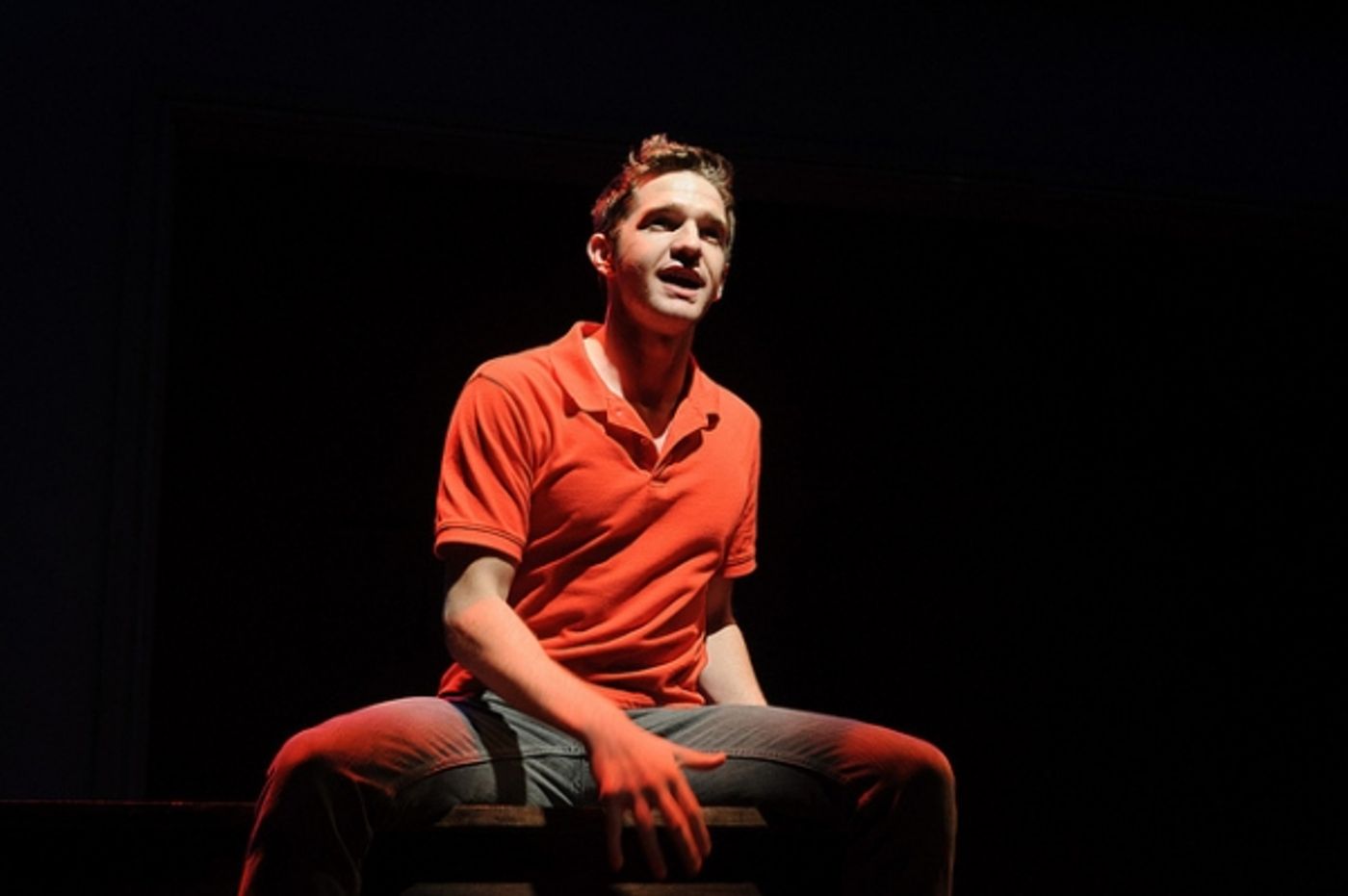 Photo Flash: Another Look at Heidi Blickenstaff, Aaron Ramey,  David Ayers and More in Weston Playhouse's NEXT TO NORMAL  Image