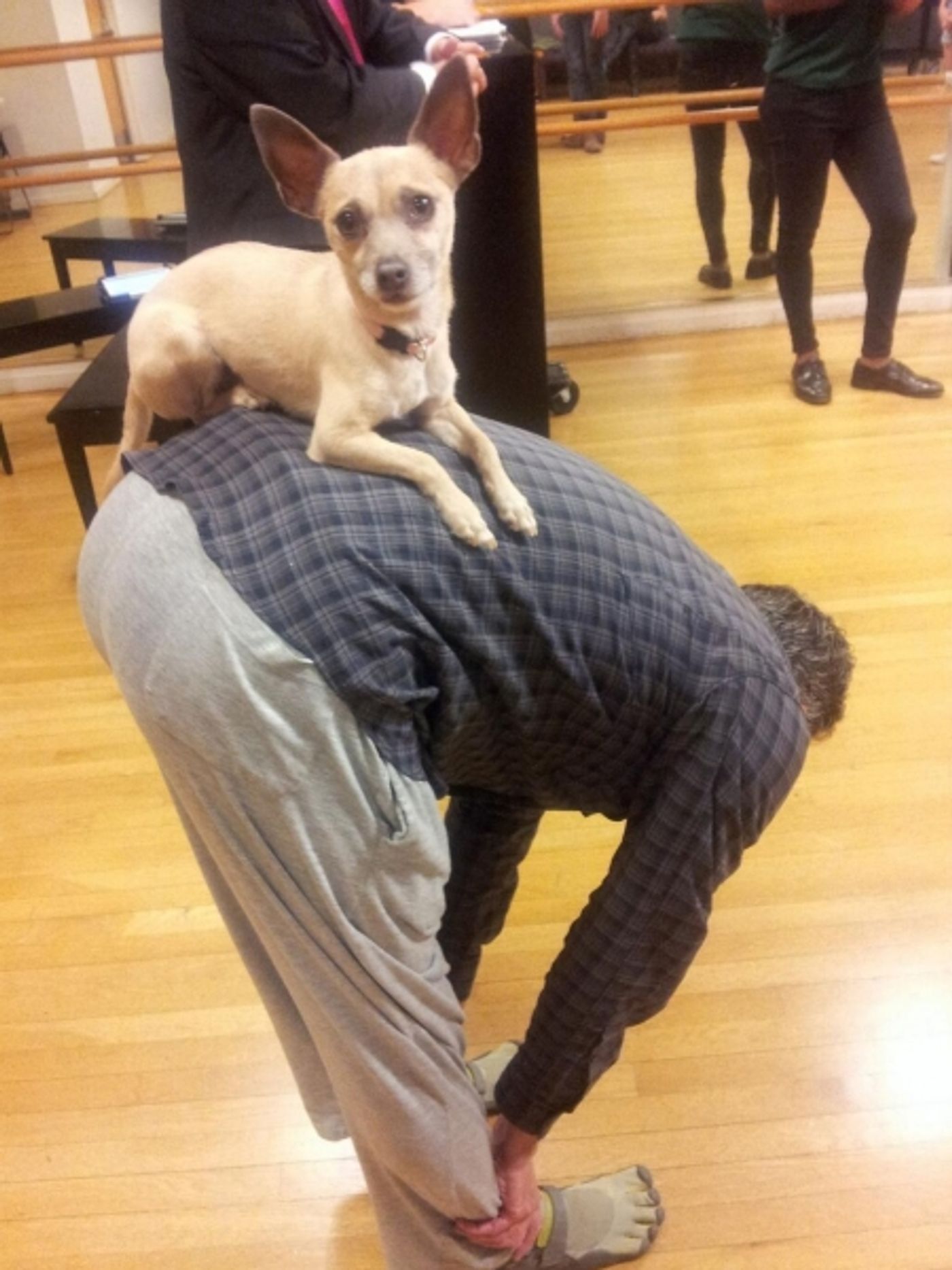 Photo Flash: Saturday Intermission Pics, July 20 - Part 2, Weekend Theatre's SPAMALOT, Barter Theatre's LES MISERABLES, SHREK & More  Image