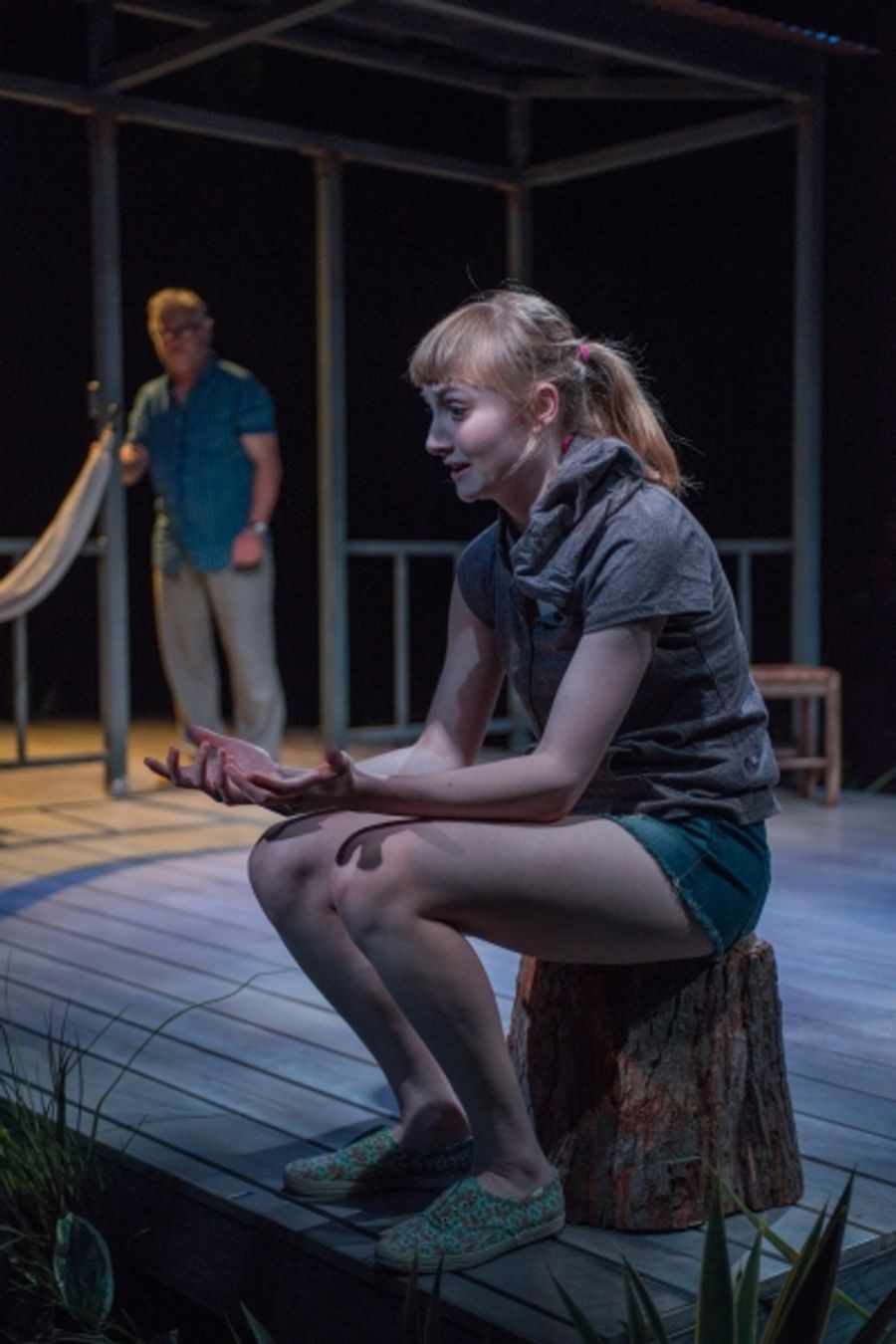 Photo Flash: Steppenwolf's SLOWGIRL, Now Playing Through 8/25 Image