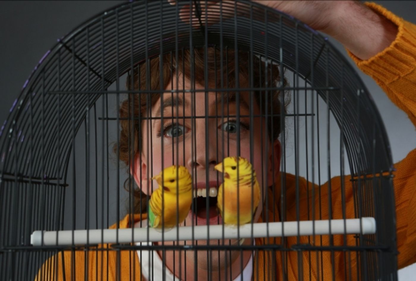 Photo Flash: Promotional Shots for Hell in a Handbag's THE BIRDS, Begin. 8/8  Image
