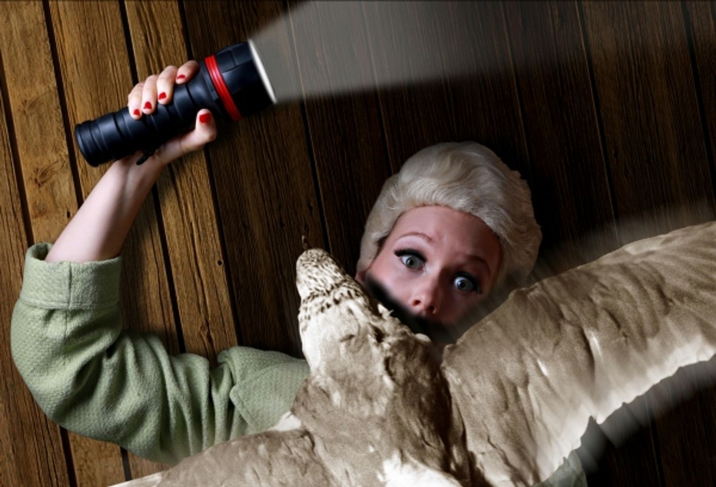 Photo Flash: Promotional Shots for Hell in a Handbag's THE BIRDS, Begin. 8/8  Image