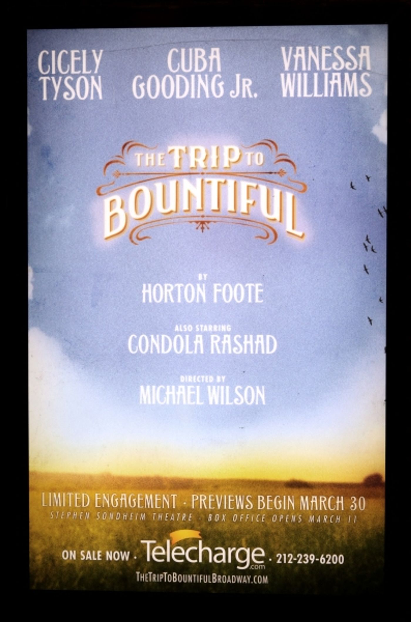 Photo Coverage: THE TRIP TO BOUNTIFUL Celebrates 100th Performance Image