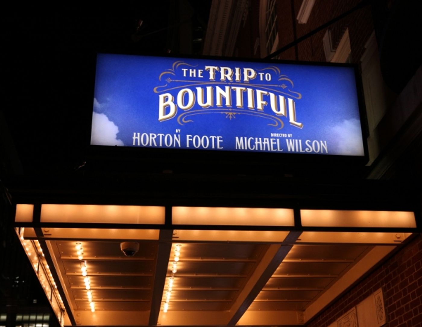 Photo Coverage: THE TRIP TO BOUNTIFUL Celebrates 100th Performance Image