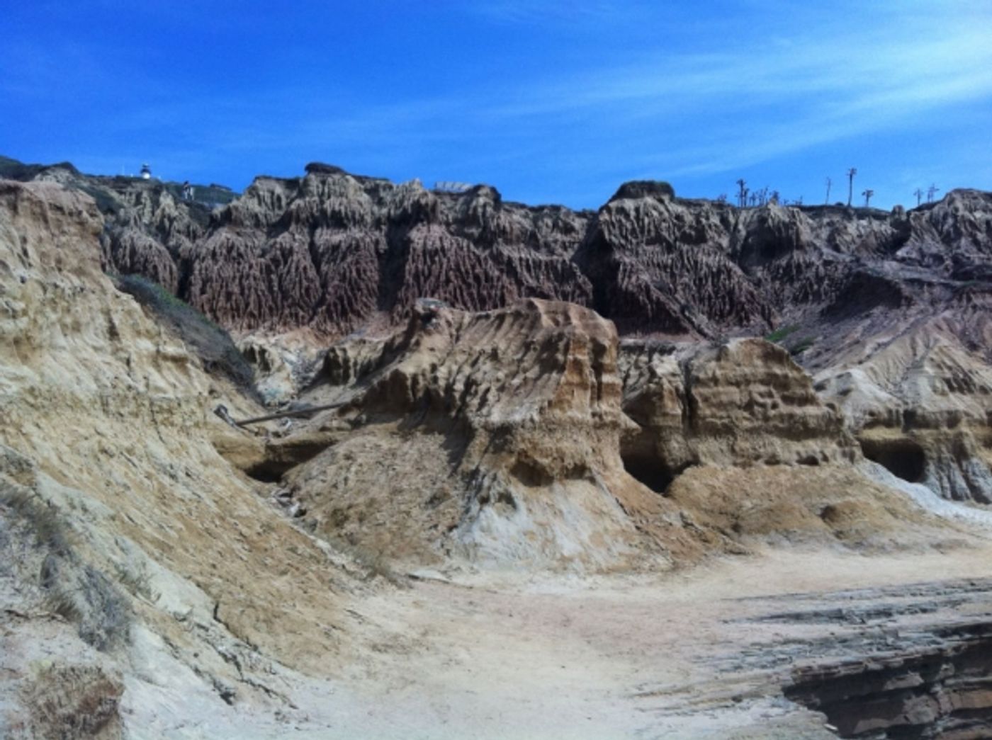 Photo Flash: Sneak Peek at La Jolla Playhouse's WoW Festival, 10/3 Image