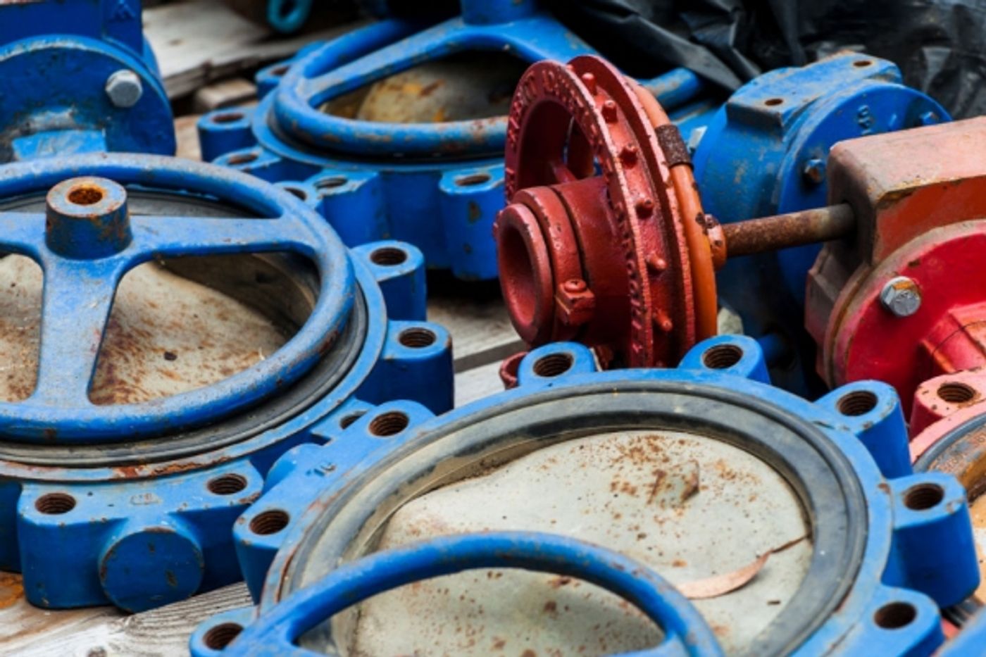 Photo Flash: Sneak Peek at La Jolla Playhouse's WoW Festival, 10/3 Image