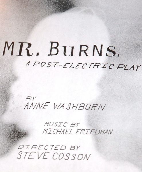 Photos: Meet the Company of Playwrights Horizons' MR. BURNS, A POST-ELECTRIC PLAY — photo 1 of 26