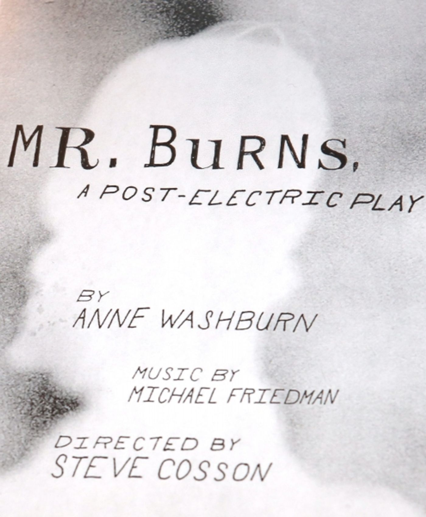 Photo Coverage: Meet the Company of Playwrights Horizons' MR. BURNS, A POST-ELECTRIC PLAY  Image