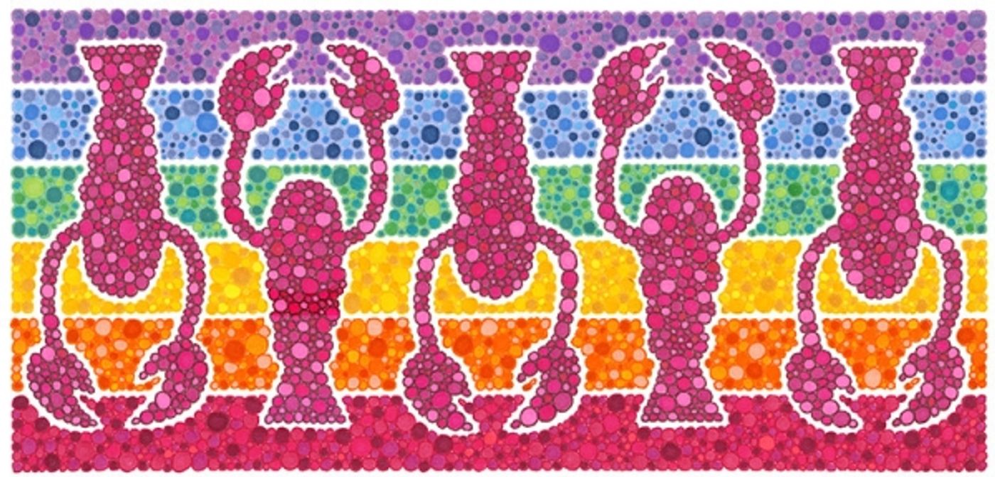 Photo Flash: Sutton Foster's New Art Prints - Elephants, Lobsters and Penguins, Oh, My! Image