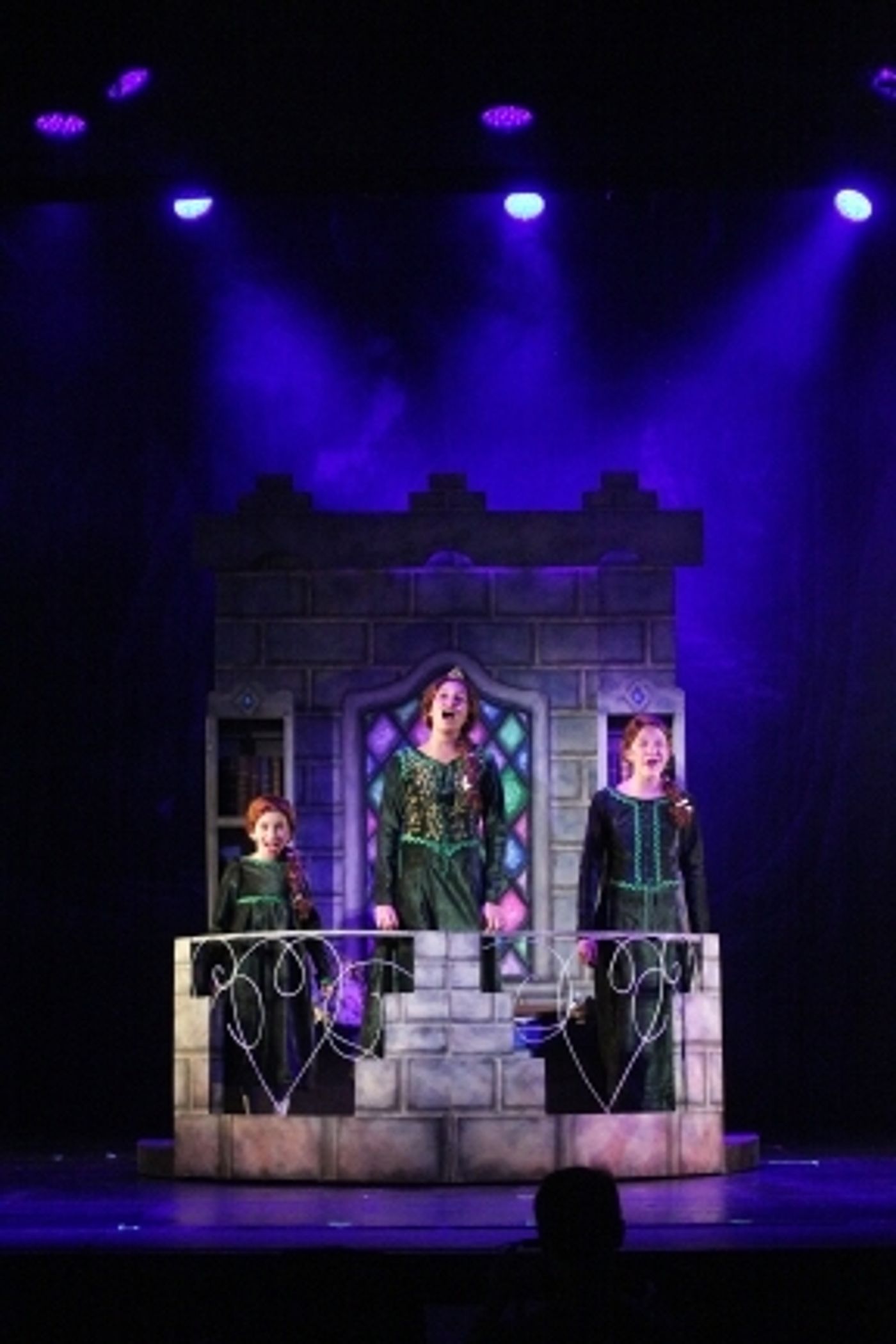 Photo Coverage: Random Farms Kids' Theater Presents SHREK  Image