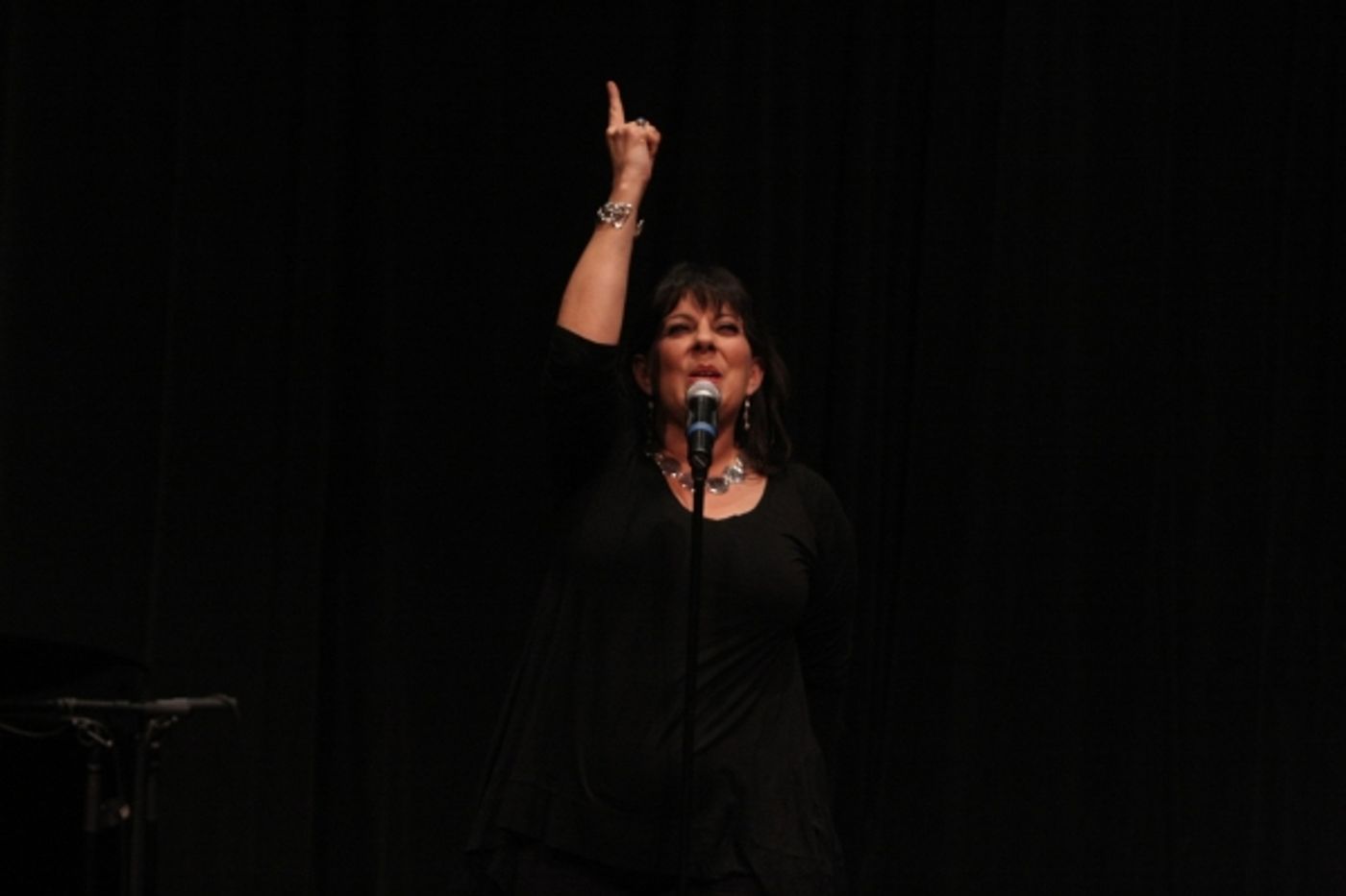 Photo Flash: Christine Pedi Performs at French Woods Festival for The Performing Arts  Image