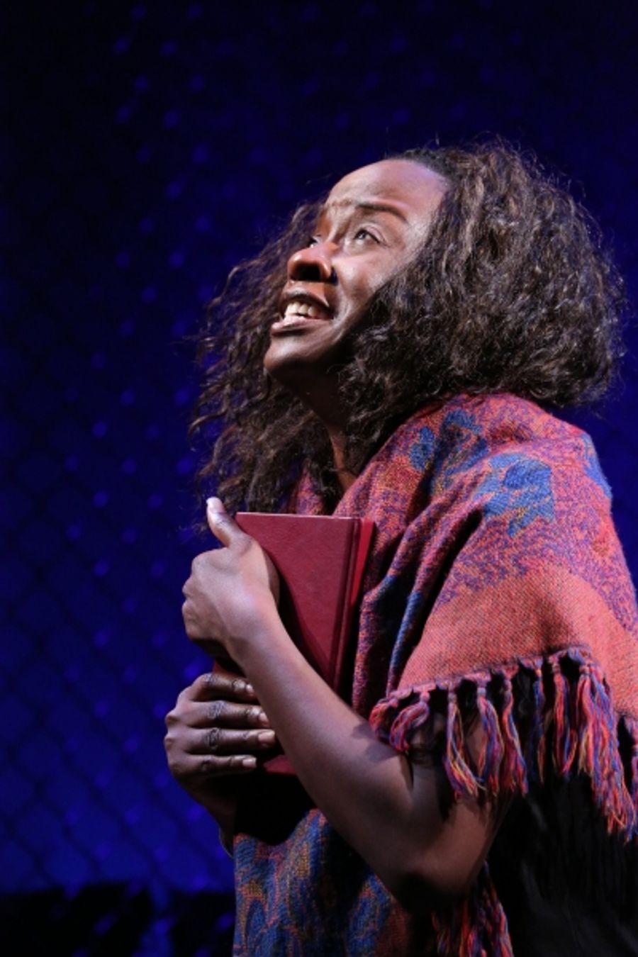 Photo Flash: First Look at Jeannette Bayardelle in SHIDA, Opening Tomorrow at Ars Nova Image