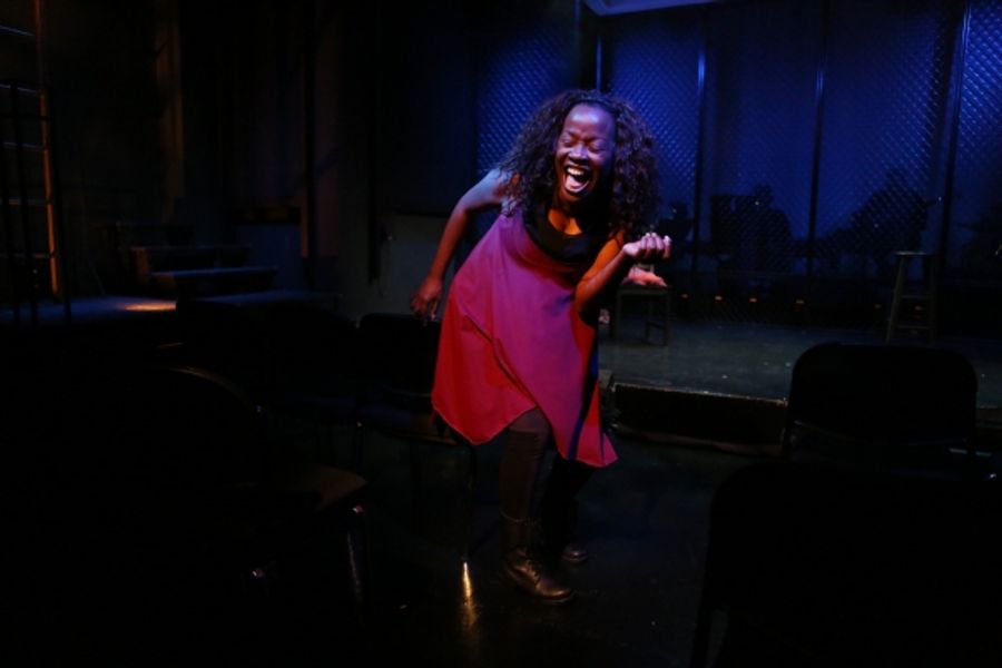 Photo Flash: First Look at Jeannette Bayardelle in SHIDA, Opening Tomorrow at Ars Nova Image