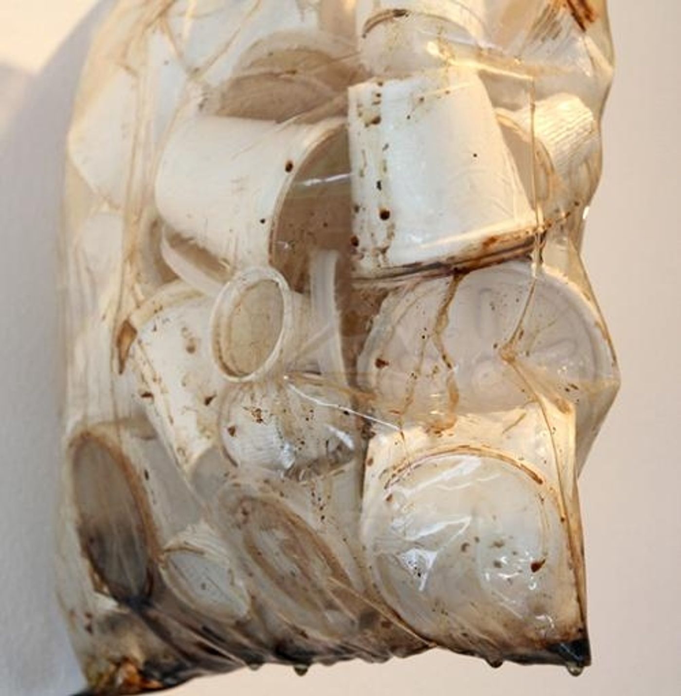 Photo Flash: Artists Install I-95 SOUTH Pieces at ArtCenter/South Florida  Image