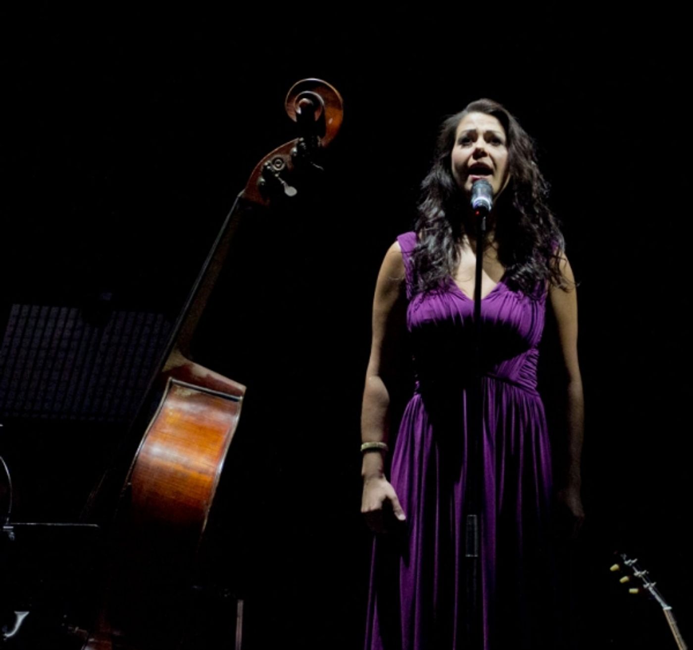 Photo Flash: First Look at Scott Alan and Co in Concert at the Indigo O2 in London  Image