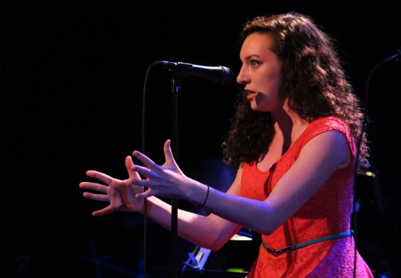 Photo Coverage: Andrew Kober & More at BARELY LEGAL SHOWTUNE EXTRAVAGANZA V!  Image