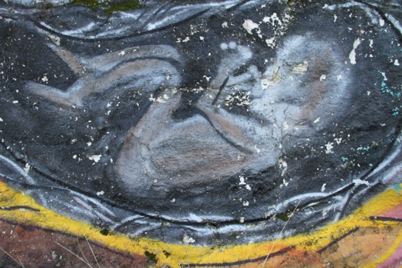 Photo Flash: Sneak Peek - Edinburgh International Festival 2013  Image