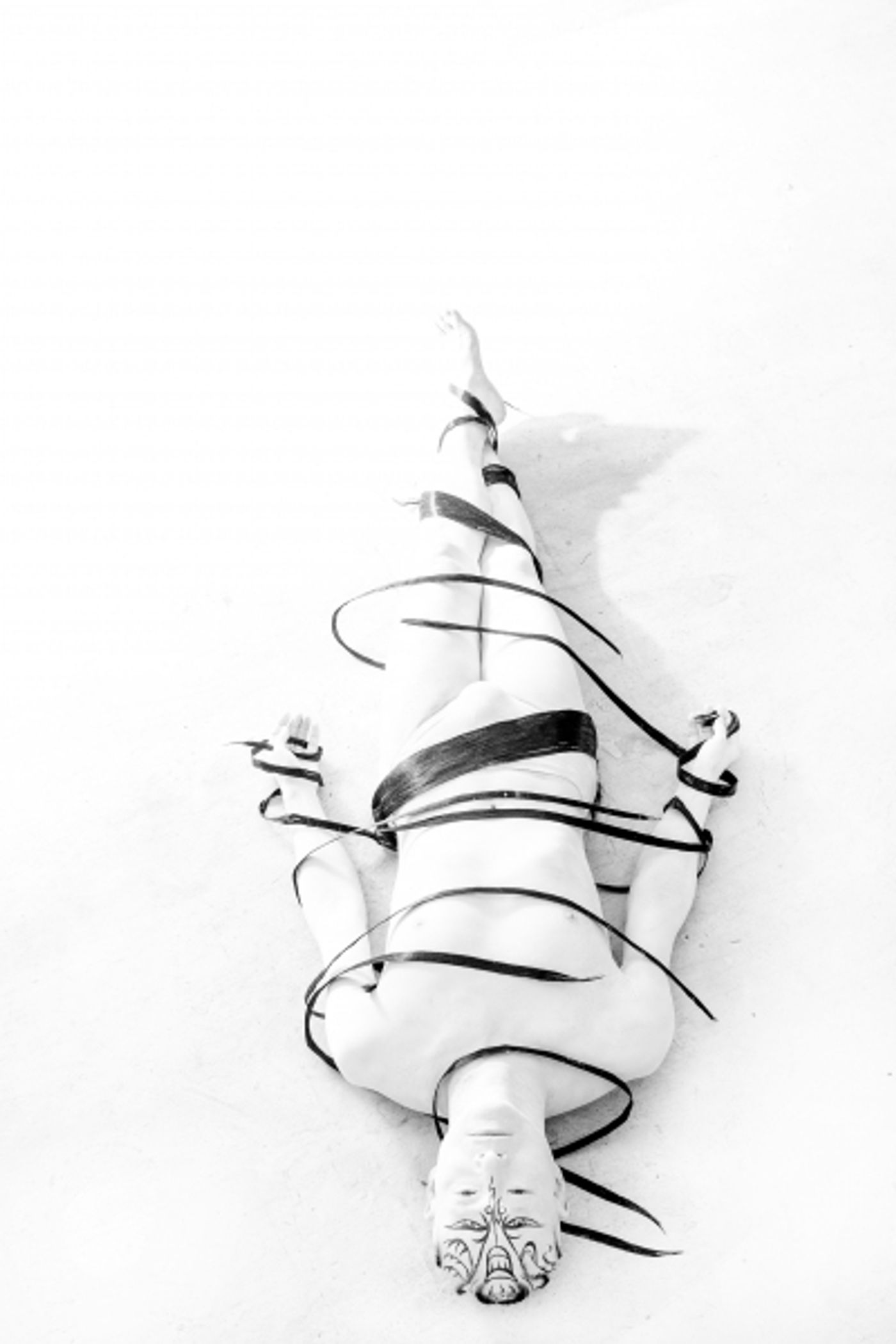 Photo Flash: Sneak Peek - Edinburgh International Festival 2013  Image