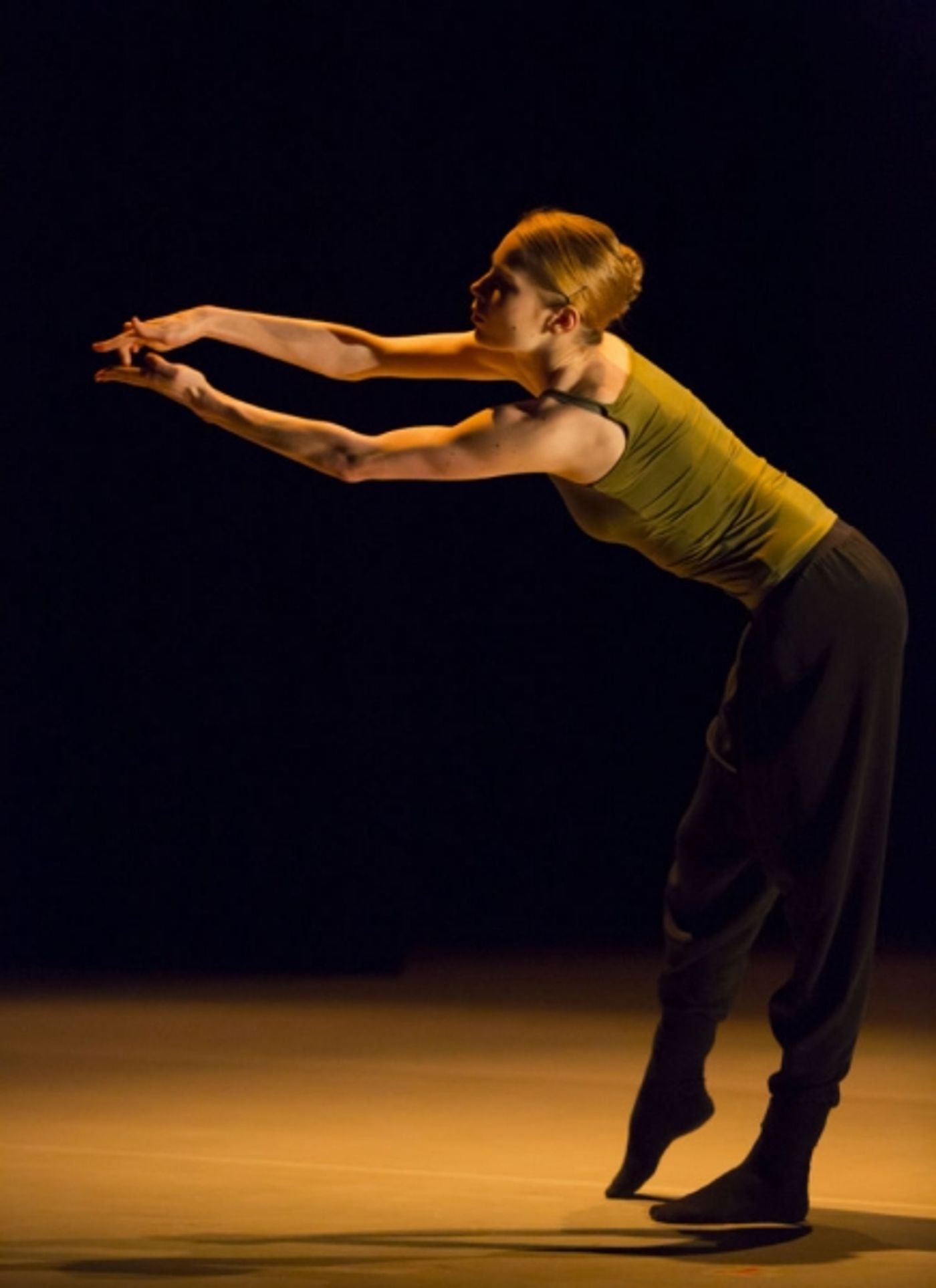 Photo Flash: First Look at Hubbard Street Dancers  Image