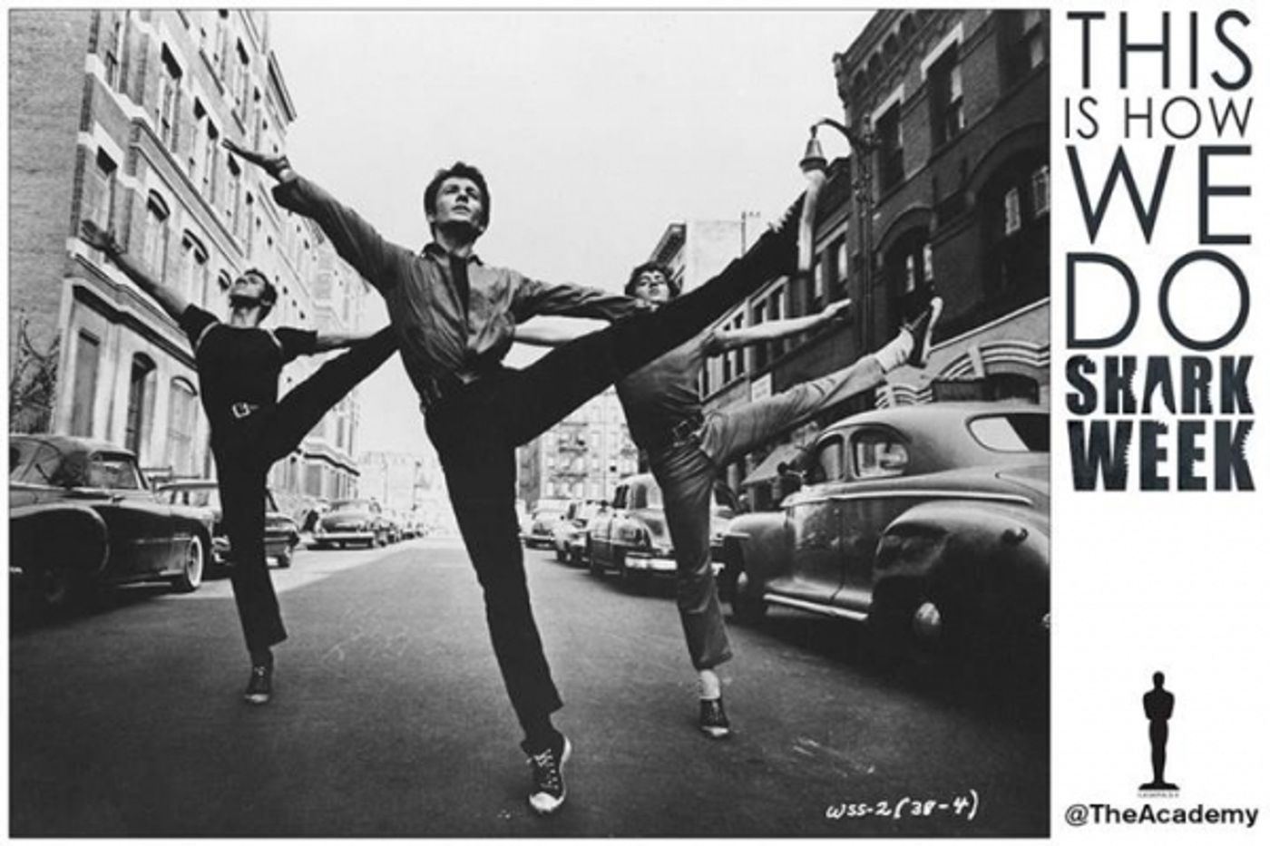 Photo Flash: Celebrate Shark Week- Broadway Style! Image