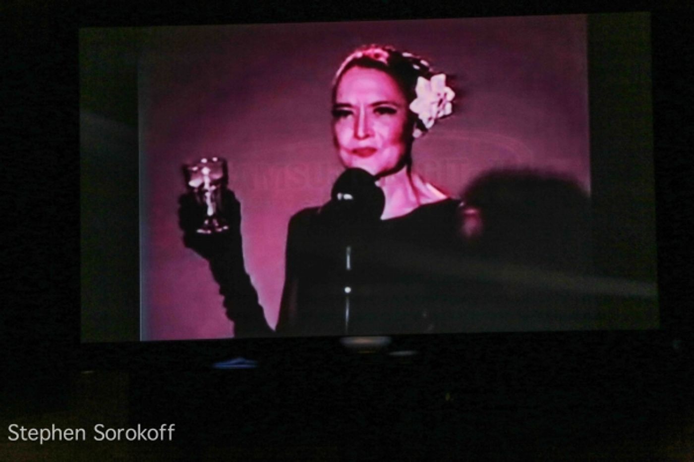 Photo Coverage: A TRIBUTE TO JULIE WILSON Plays the Iridium  Image