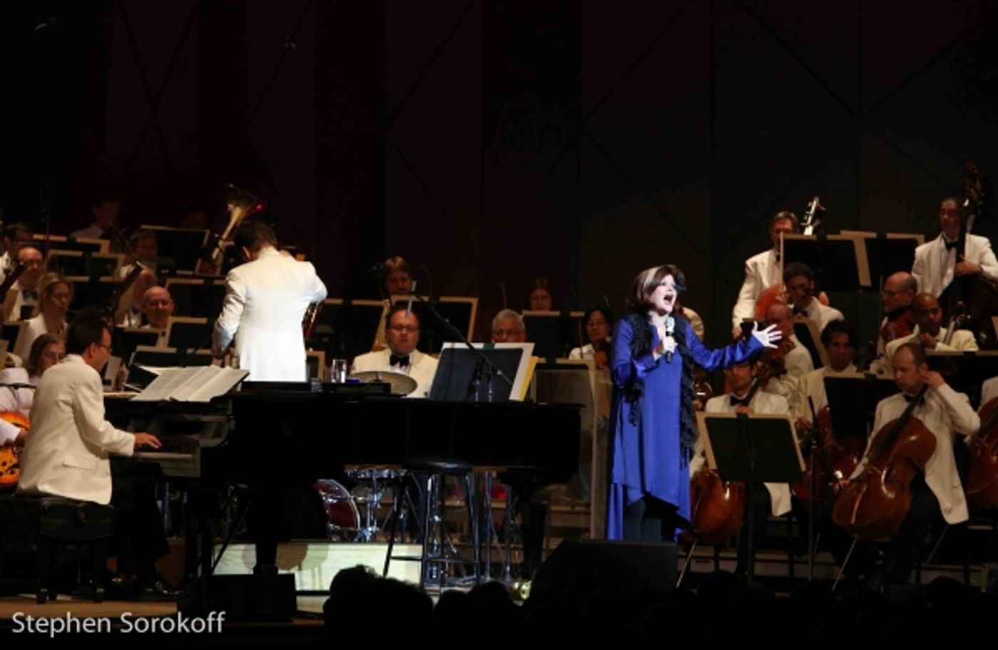 Photo Coverage: Michael Feinstein & Friends Play Tanglewood  Image