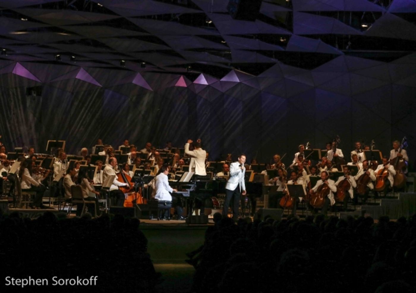 Photo Coverage: Michael Feinstein & Friends Play Tanglewood  Image