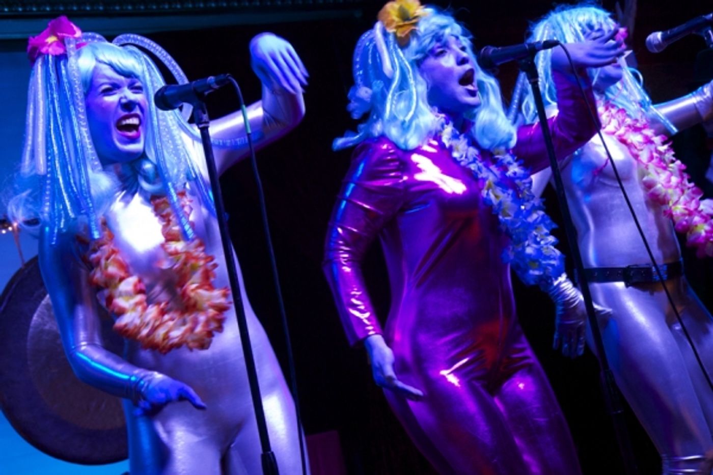 Photo Flash: THE GONG SHOW LIVE Continues Tonight at The Cutting Room  Image