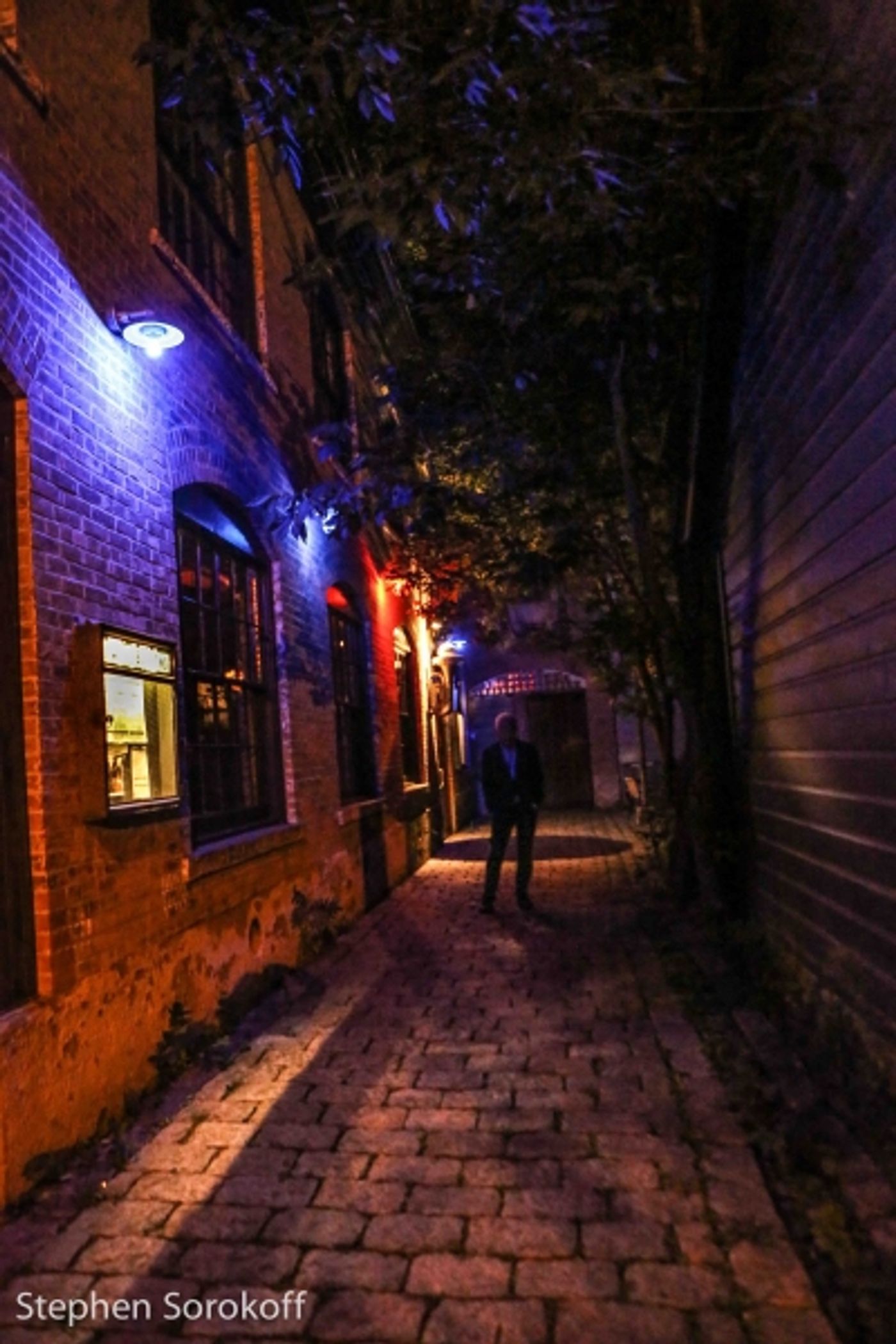 Photo Coverage: Terri White Plays Helsinki Hudson  Image