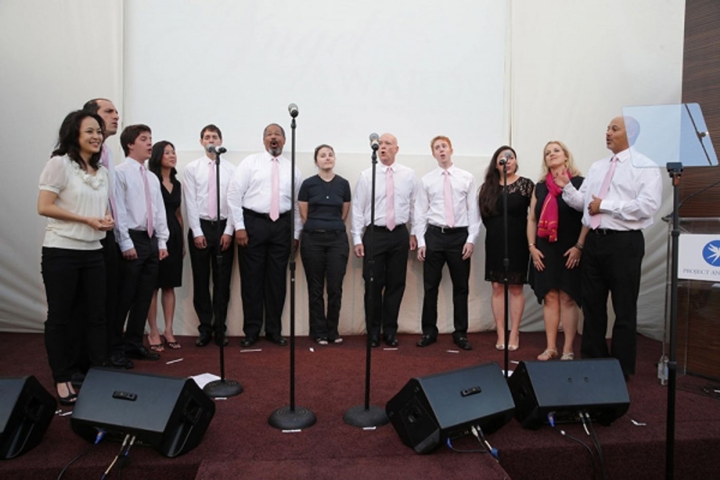 Photo Flash: Jane Lynch, Giada De Laurentiis Honored at 2013 Angel Awards  Image