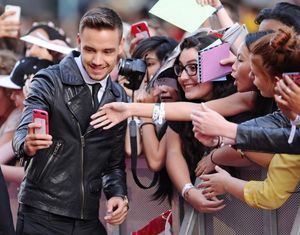 Liam Payne Photo by REX USA/David Fisher/Rex Photo