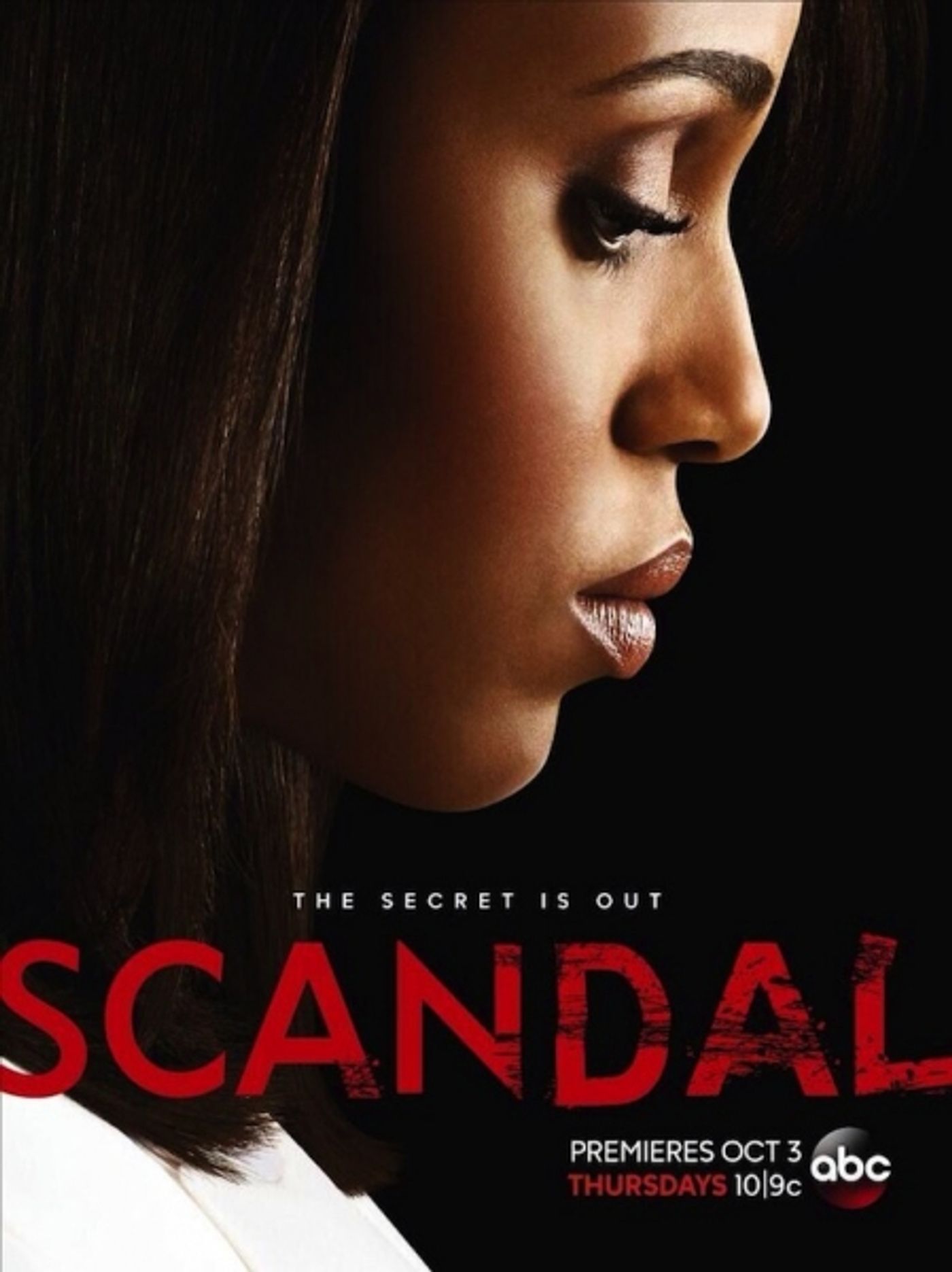 Photo Flash: New Poster Released for ABC's SCANDAL Season 3  Image