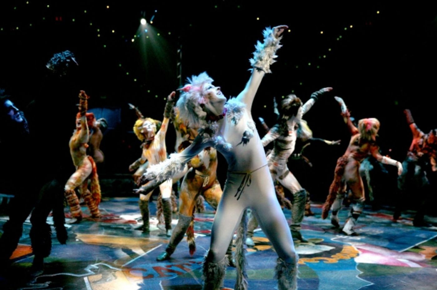 Photo Flash: First Look at Katy Blake, Erica Cenci and More in NSMT's CATS  Image