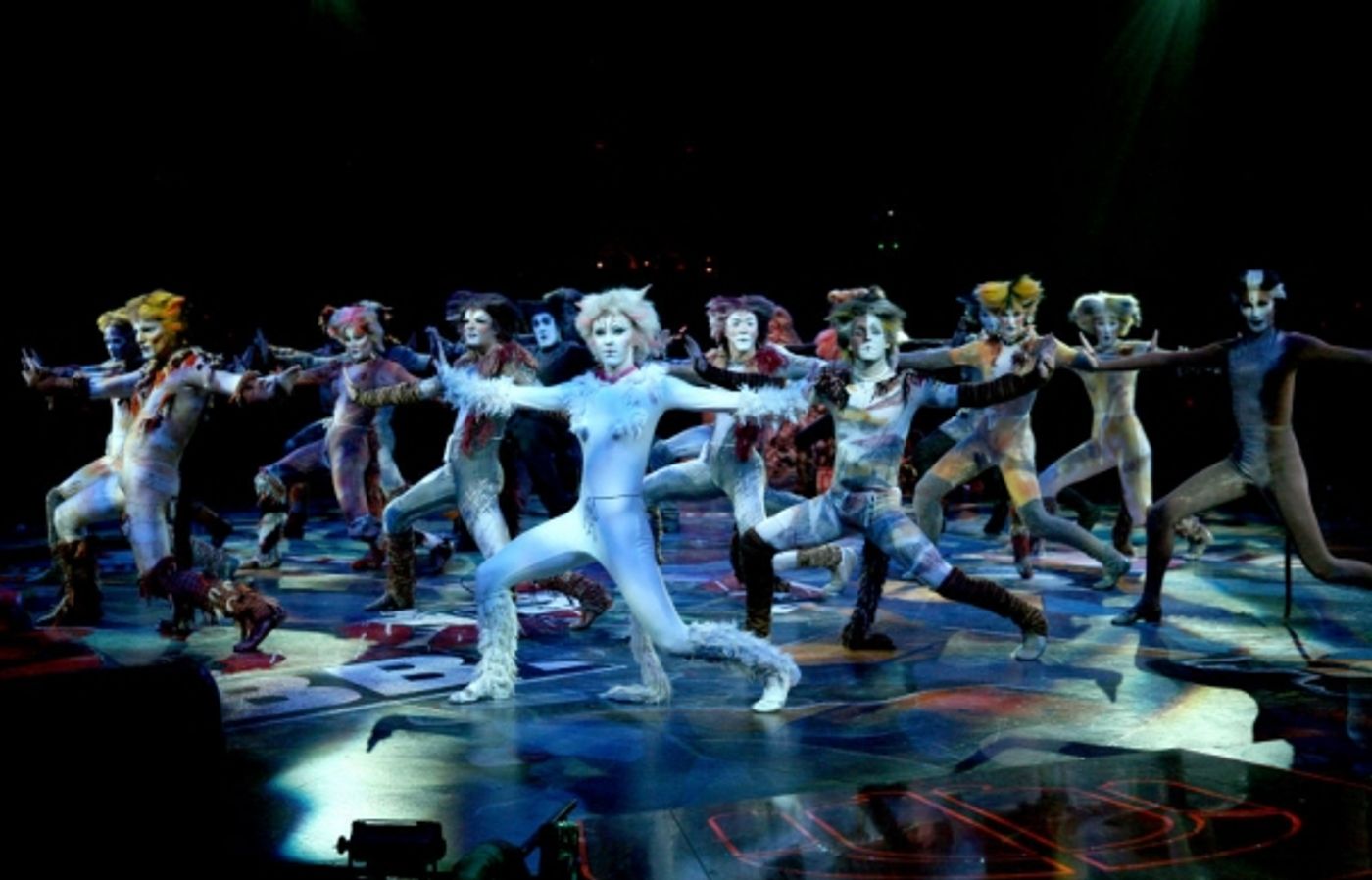 Photo Flash: First Look at Katy Blake, Erica Cenci and More in NSMT's CATS  Image