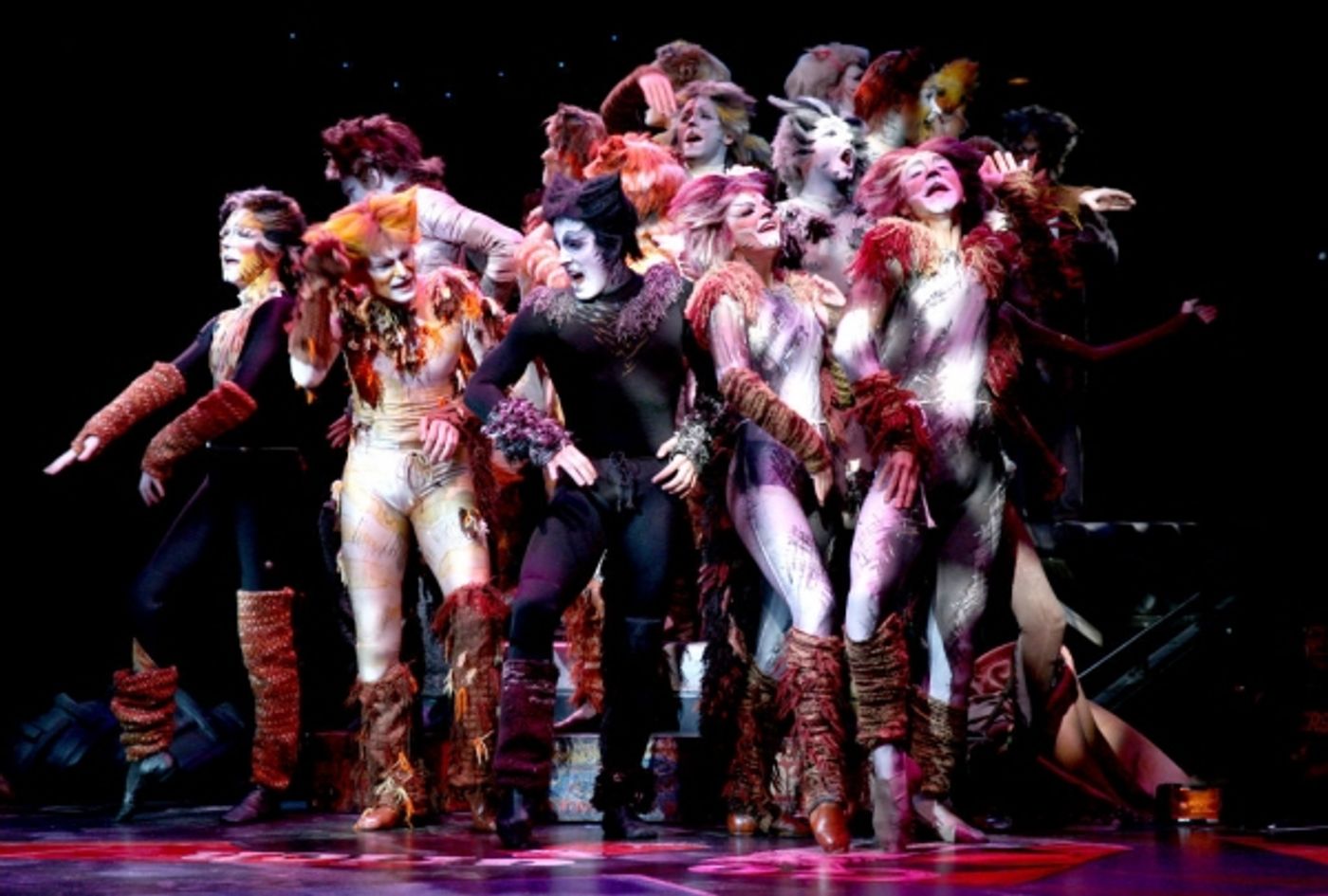 Photo Flash: First Look at Katy Blake, Erica Cenci and More in NSMT's CATS  Image