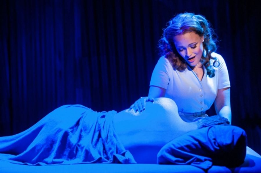 BWW Exclusive: Diana Huey, Erin Driscoll, and Thom Sesma in Signature's MISS SAIGON Image