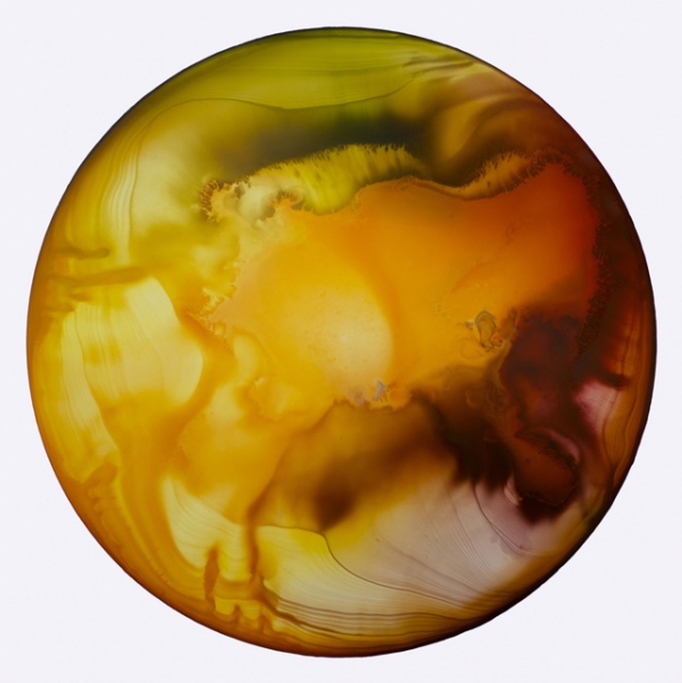 Photo Flash: Artist and Ohio University Professor John Sabraw Image