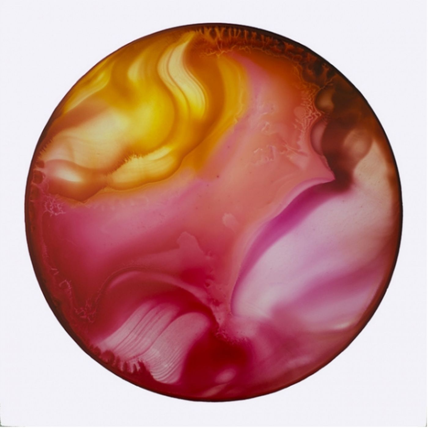Photo Flash: Artist and Ohio University Professor John Sabraw Image