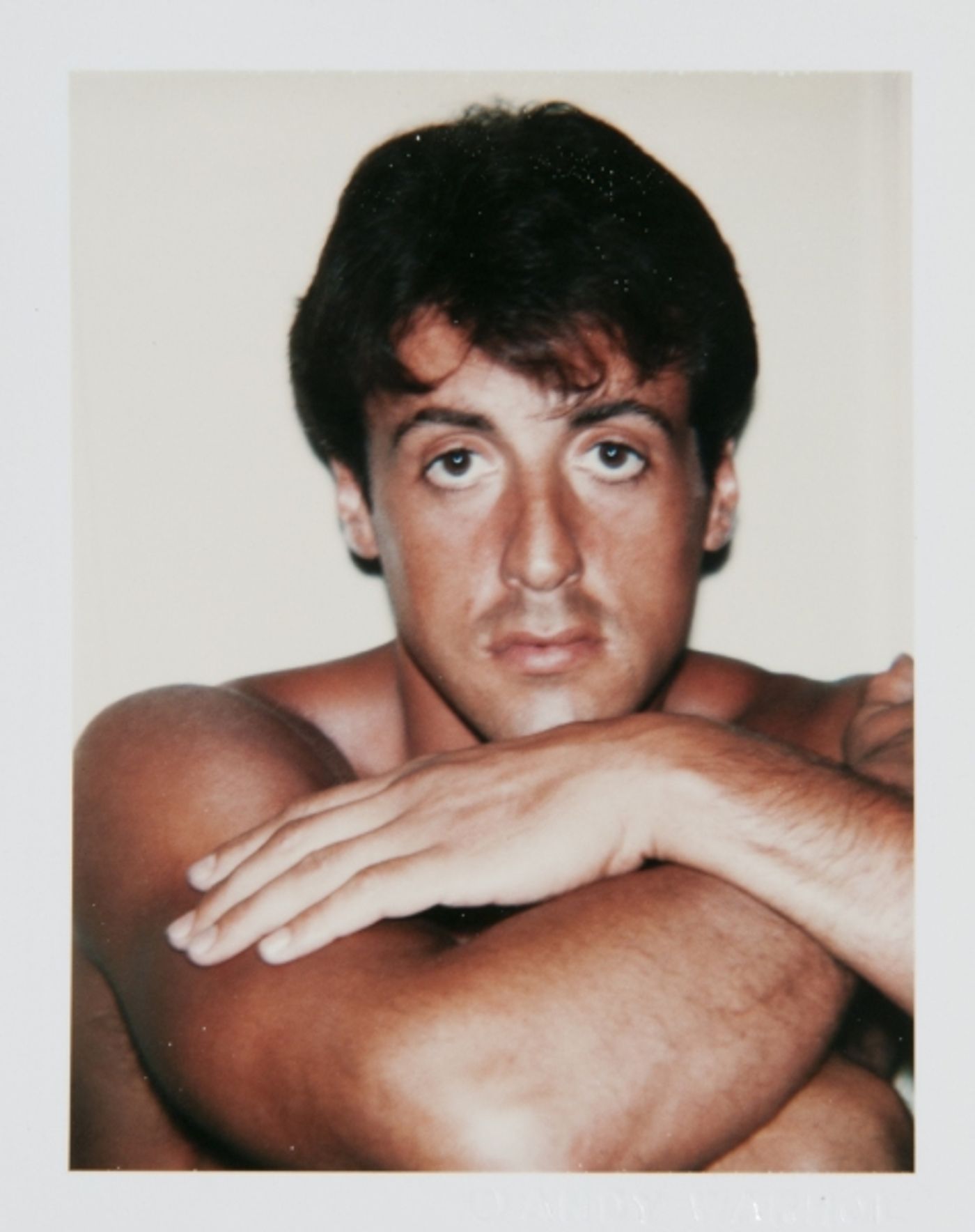 Photo Flash: ANDY WARHOL's Rare Celebrity Photographs for Sale - Sylvester Stallone, Liza Minnelli & More!  Image