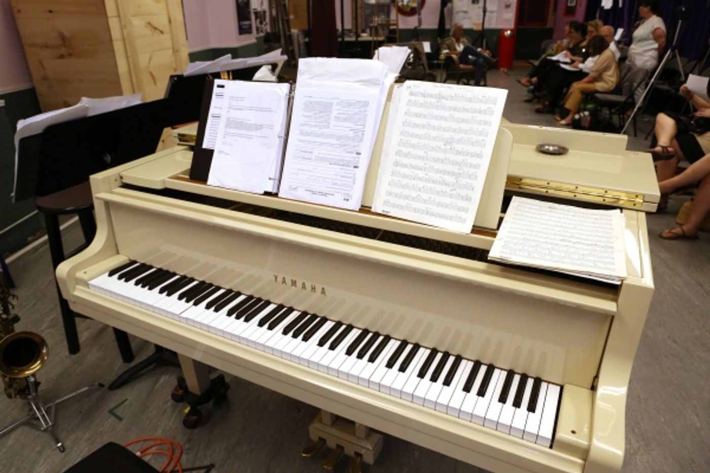 Photo Coverage: Meet the Cast of LADY DAY!  Image