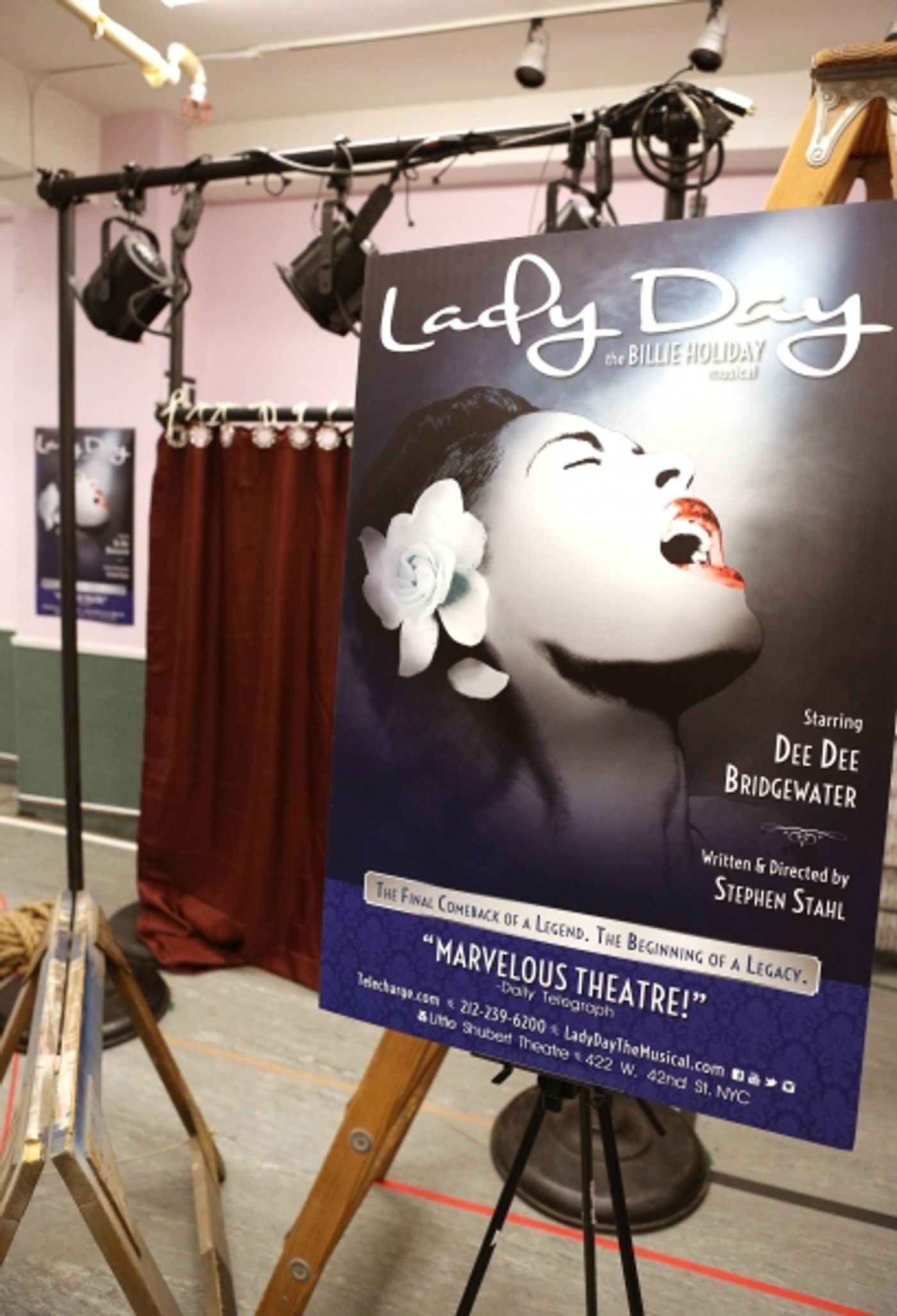Photo Coverage: Meet the Cast of LADY DAY!  Image