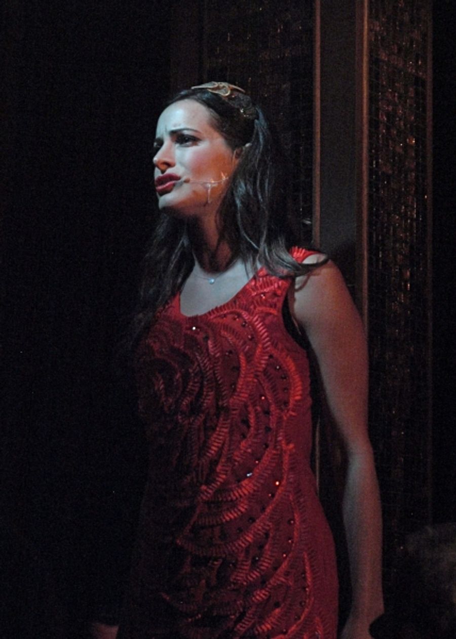Photo Coverage: First Look At FOR THE RECORD: BAZ LUHRMANN IN CONCERT Image